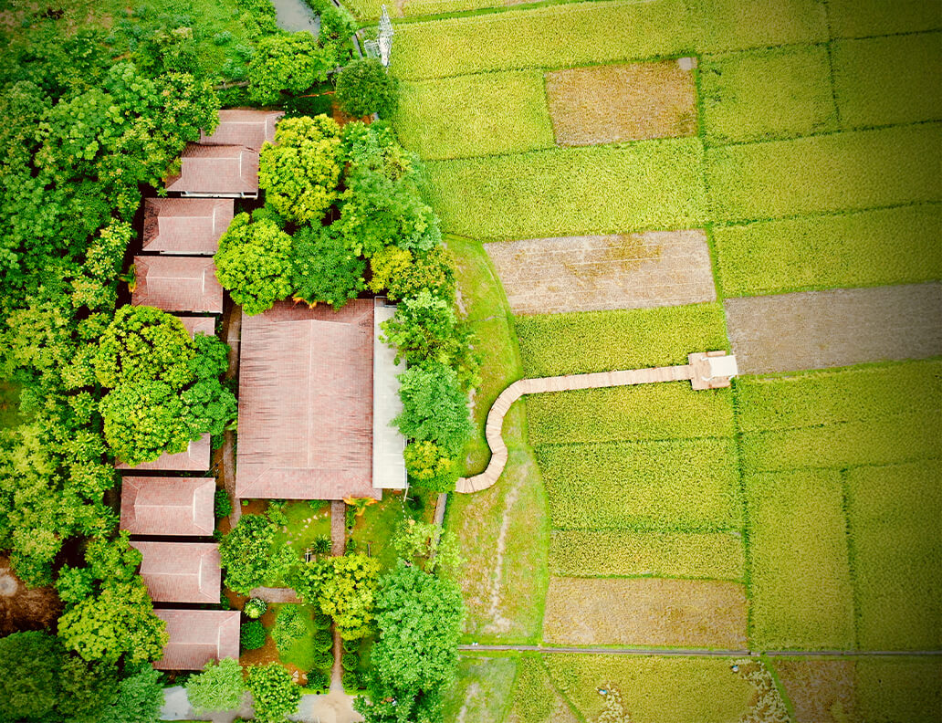 Kết nối với thiên nhiên