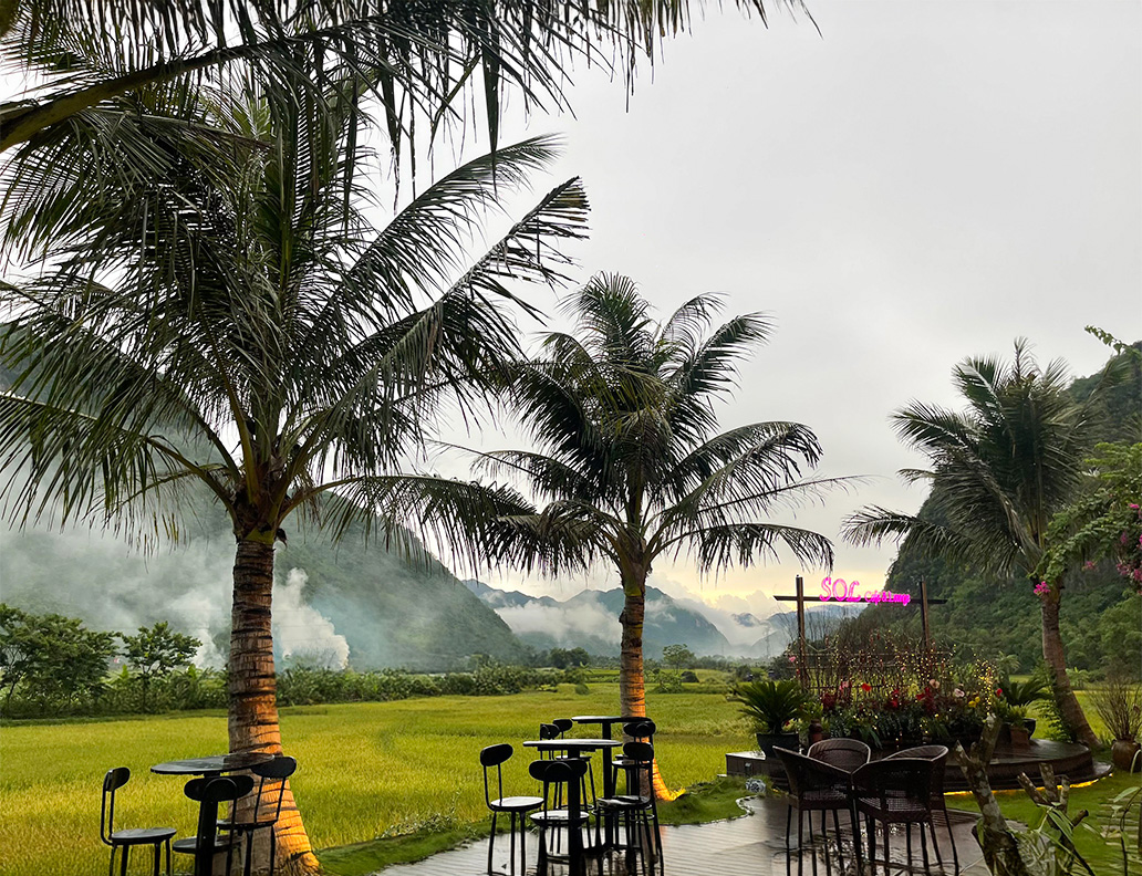 Khu vực ăn uống nhìn ra cánh đồng lúa